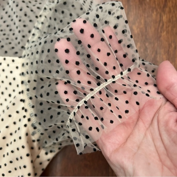 Poppies and Roses Velvet Polka Dot on Beige Netting Kids Dress, Size Large - Picture 6 of 14